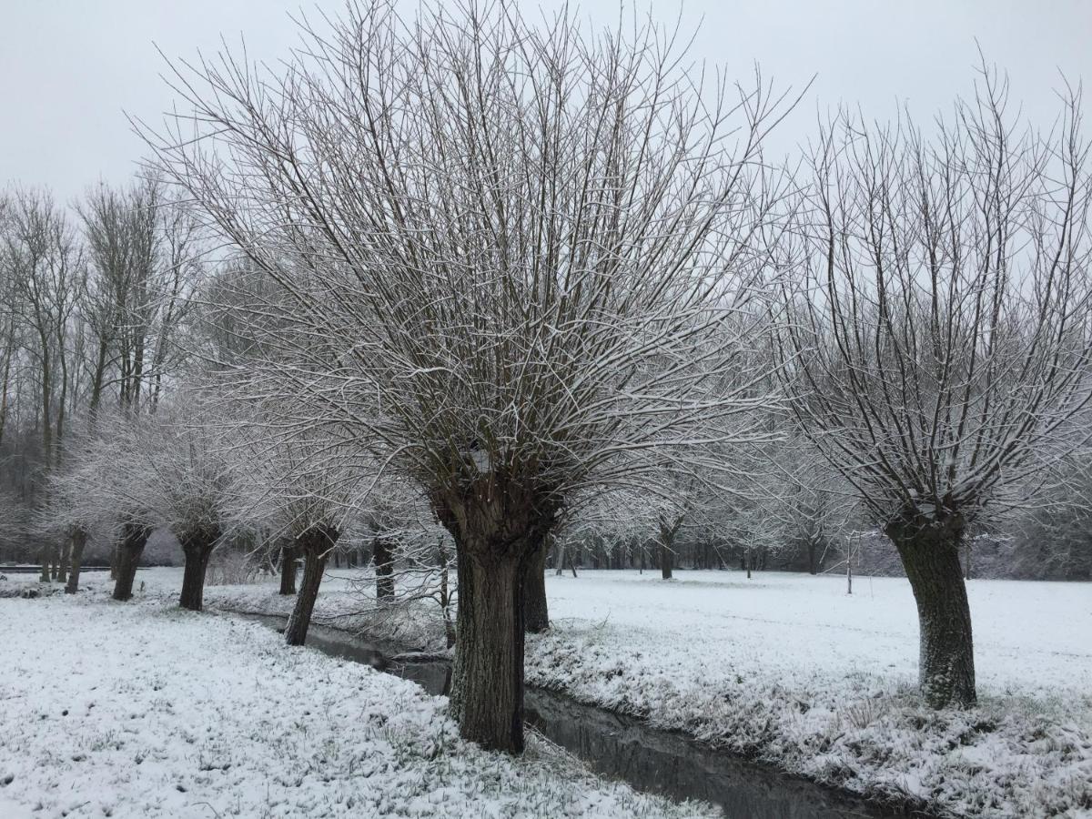Het Zwaantje Villa Londerzeel Luaran gambar