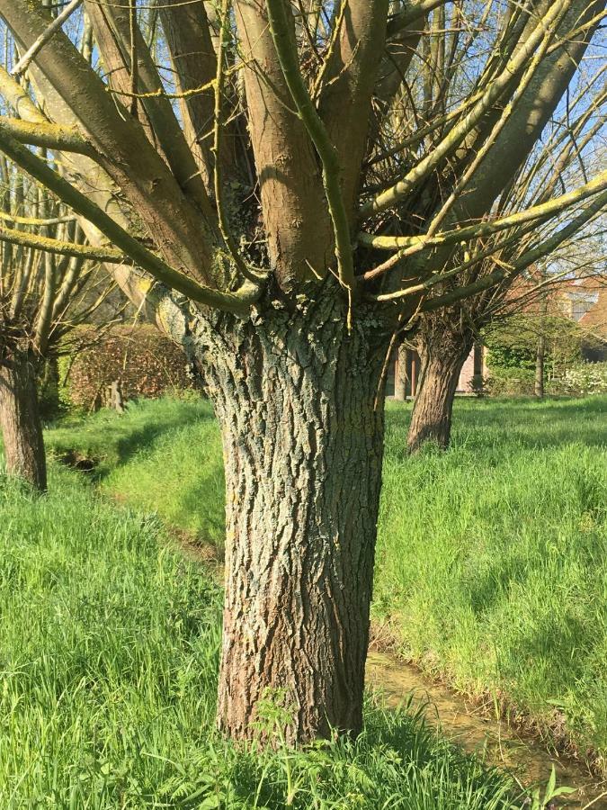Het Zwaantje Villa Londerzeel Luaran gambar