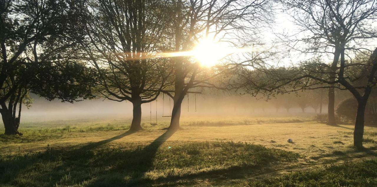 Het Zwaantje Villa Londerzeel Luaran gambar