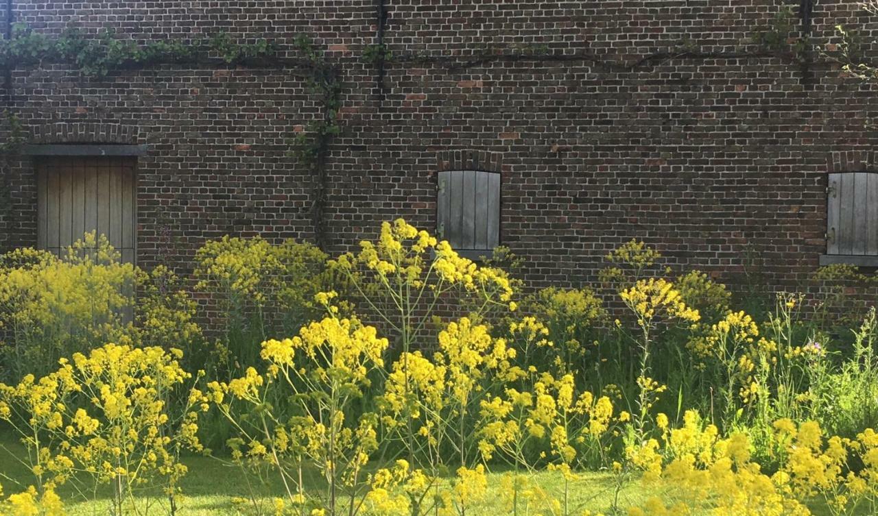 Het Zwaantje Villa Londerzeel Luaran gambar